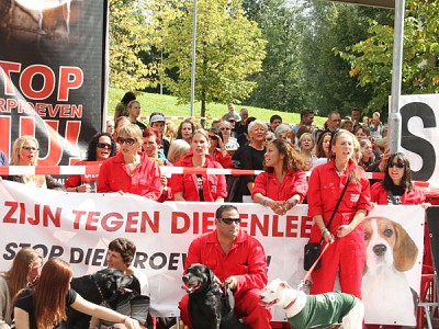 Maastricht geeft goedkeuring voor dierproeven op 39 labradors