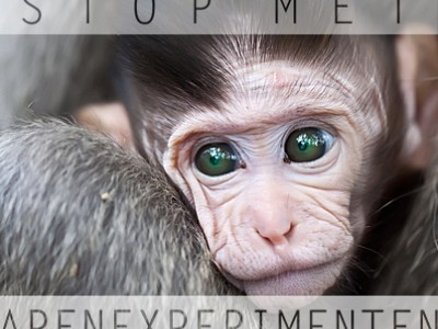 ADC start online petitie tegen apenexperimenten!